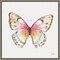 Colorful Breeze XI (Butterfly) by Lisa Audit 16-in. W x 16-in. H. Canvas Wall Art Print Framed in Grey